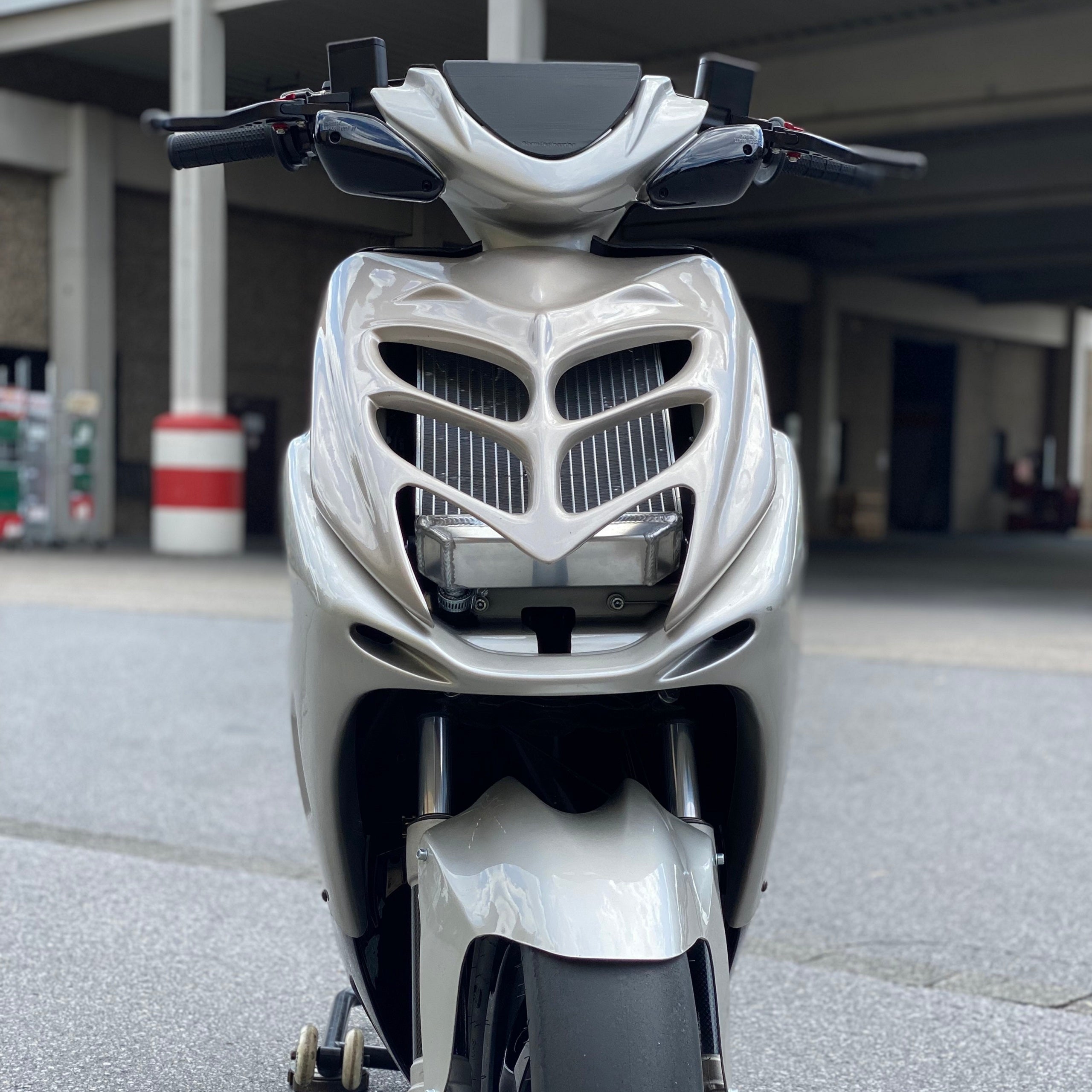 Racing radiator aluminum RPG Yamaha Aerox radiator grille ...